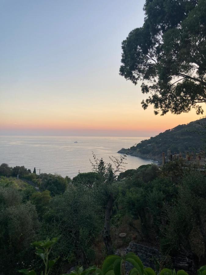 Nel Blu Dipinto Di Blu Apartment Levanto Exterior photo